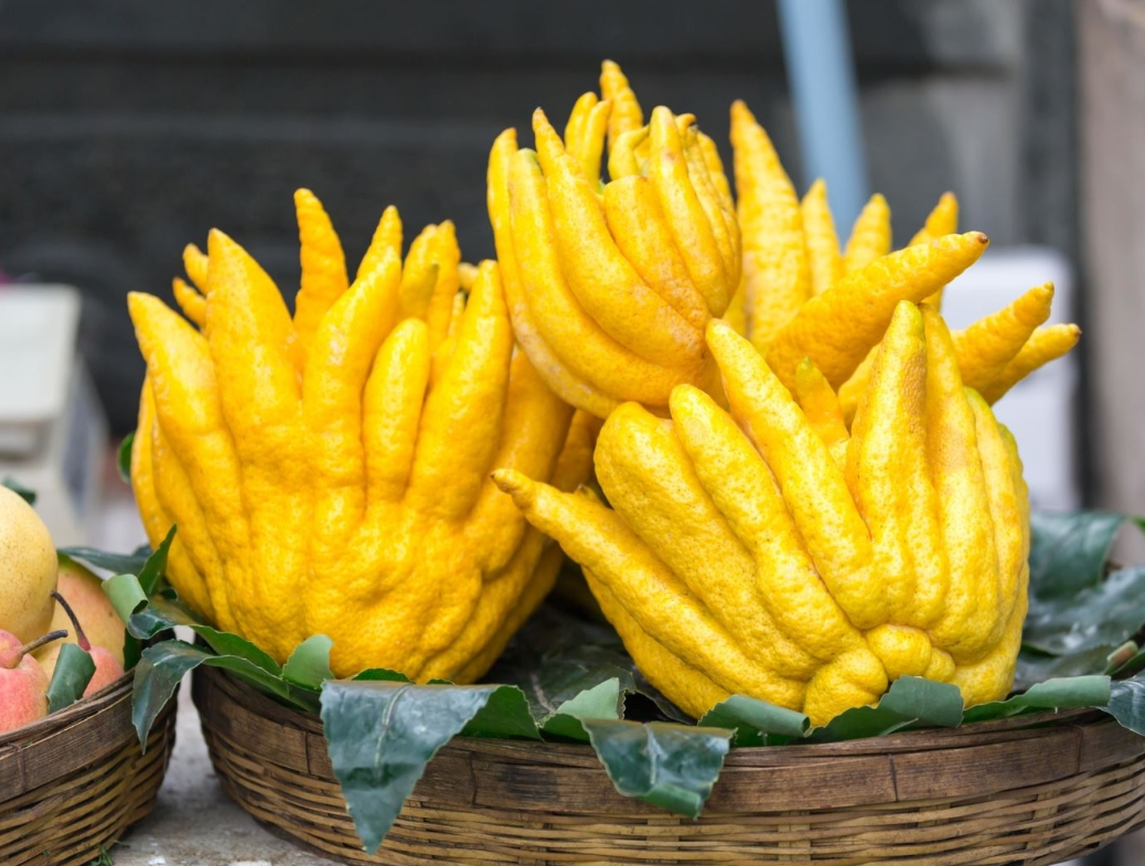 Chọn quả Phật Thủ đẹp nhất